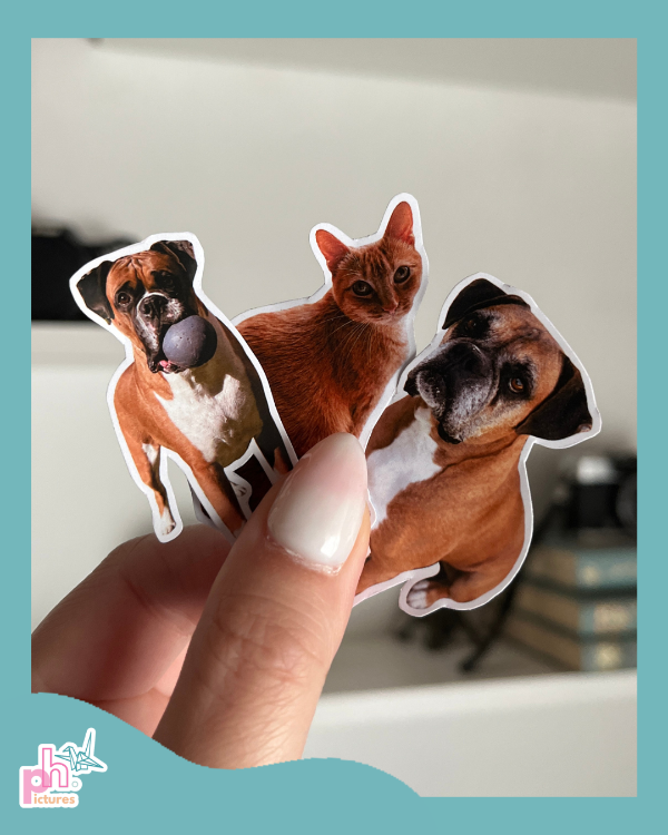Producto - stickers con tus fotos - 3