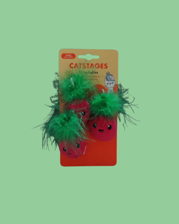 Producto - FRUTILLAS BEBE X 3 UNIDADES