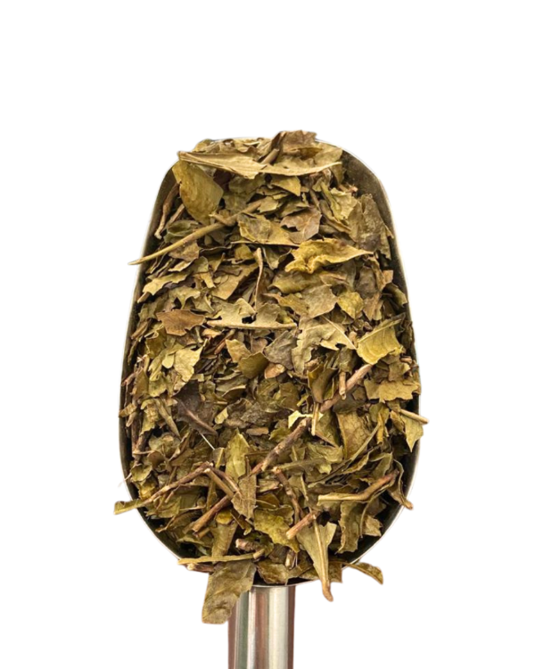 Producto - TE VERDE EN HEBRAS