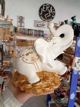 Producto - Elefante Fortuna