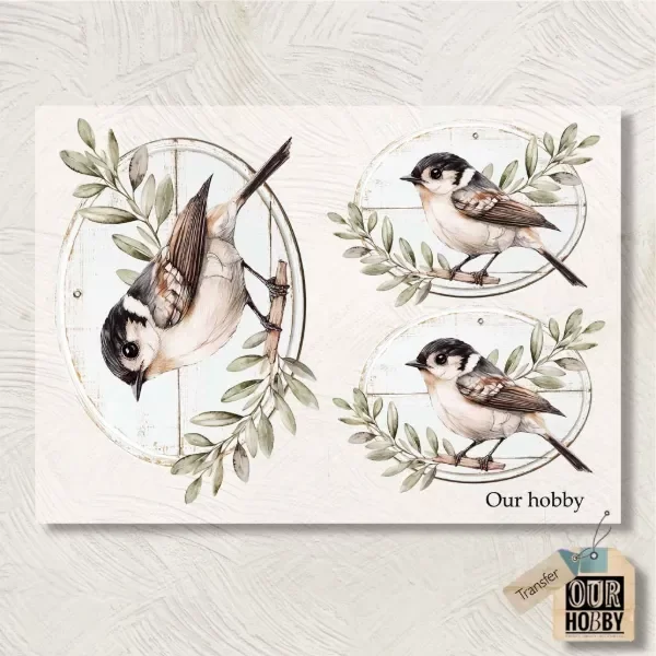 Producto - Transfolex color (plancha) 200