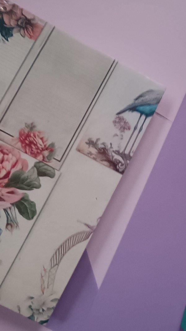 Producto - Suscripción mensual El gato naranja