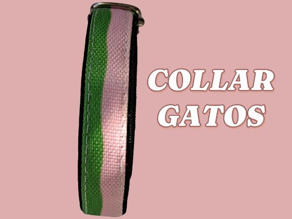 Producto - Collares rayas verde y rosa