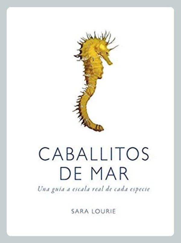Producto - Lourie: Caballitos de Mar
