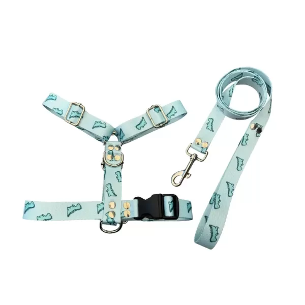 Producto - Pretal H + Correa dino XS/S