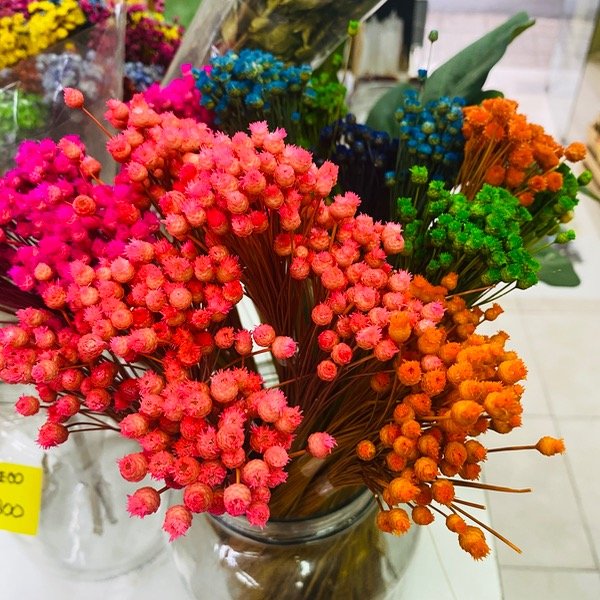 Producto - Lakila