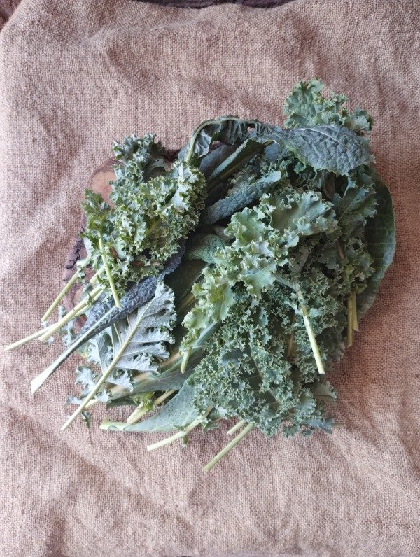 Producto - Kale Mercado de la Tierra