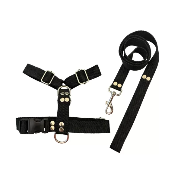 Producto - Pretal H + Correa Lisa