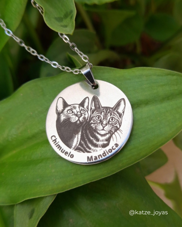 Producto - Dije personalizado de DOS mascotas - ACERO QUIRÚRGICO