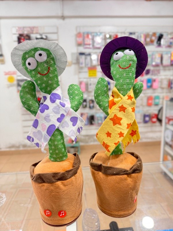 Producto - CACTUS BAILARIN