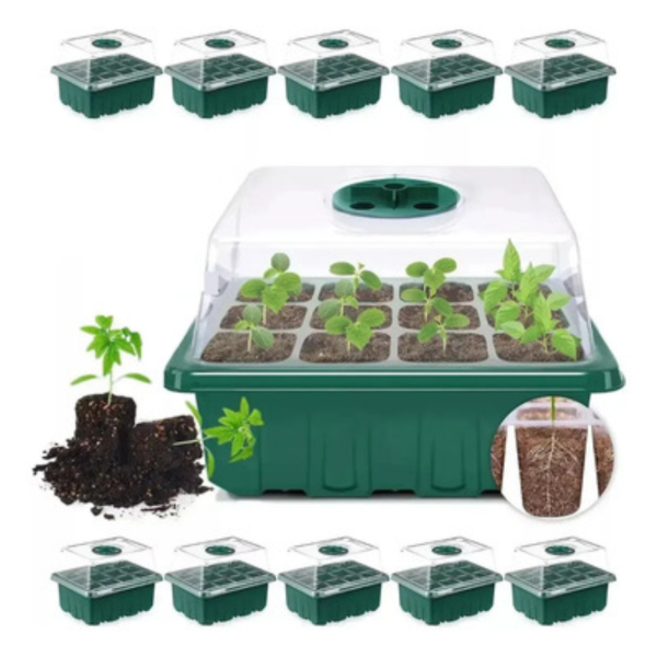 Producto - PROPAGADOR ESQUEJES CHICO 18X5X14 CM