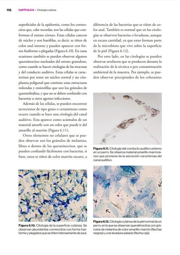 Producto - Verde: Diagnósticos Dermatológicos Canino y Felino - 7
