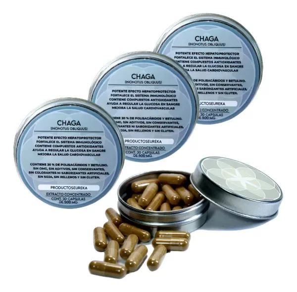 Producto - Pack X 3 Chaga - Extracto Concentrado - Capsulas 500mg