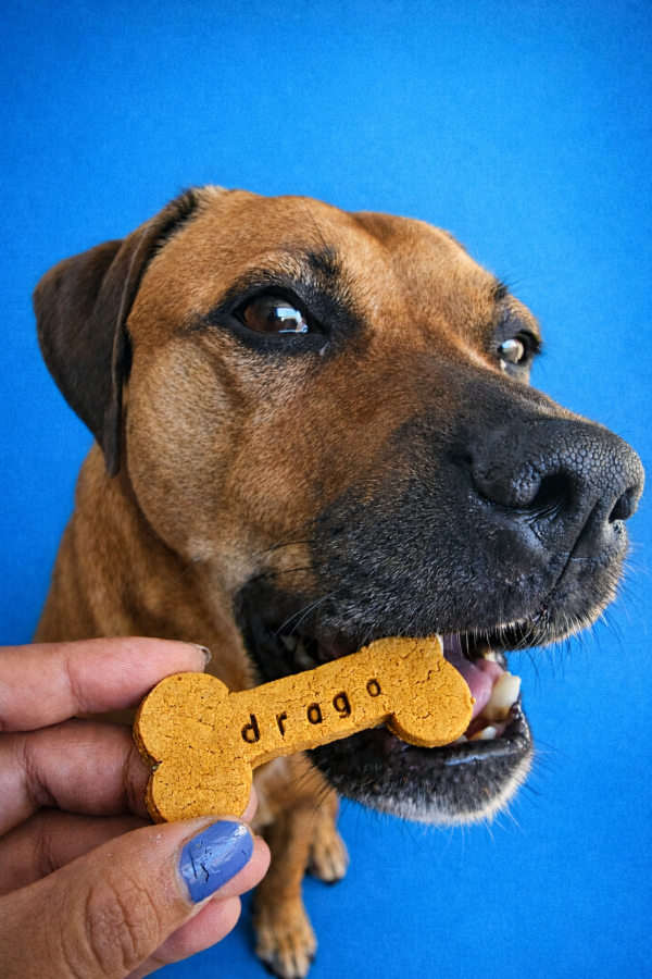 Producto - Galletas Hueso