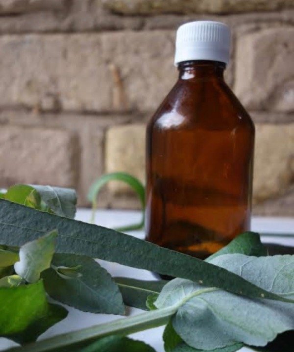 Producto - HIDROLATO DE EUCALIPTO