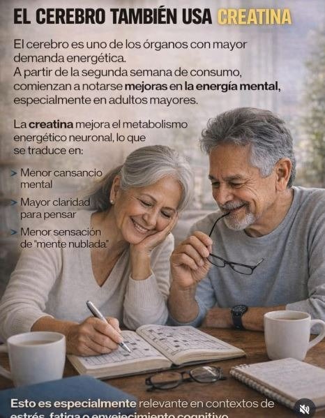 Miniatura de producto - 8