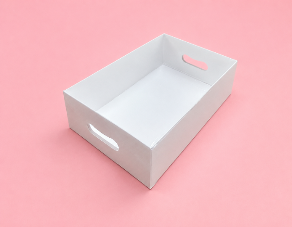 Producto - CAJA BANDEJA TAPA DE ACETATO COD. 1540 26x9x17 - 0