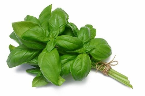 Producto - ALBAHACA (unidad)