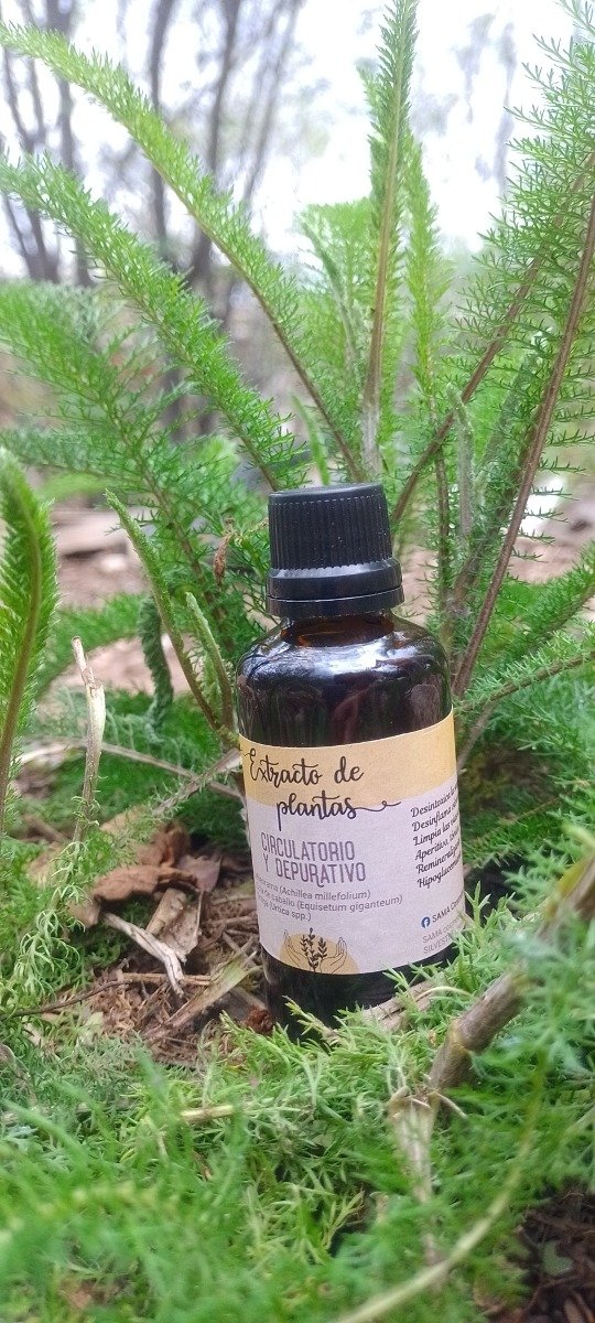 Producto - Extracto Circulatorio