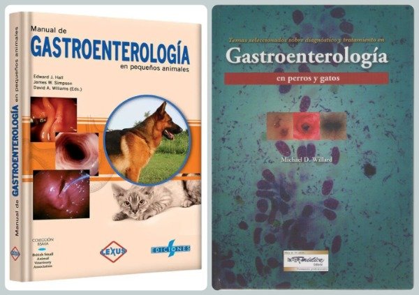 Producto - Manual de Gastroenterología + Gastroenterología en Perros y Gatos