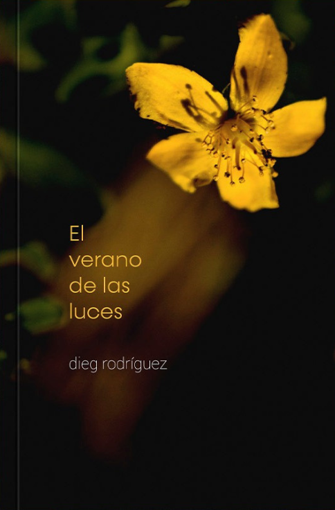 Producto - El verano de las luces - Dieg Rodríguez