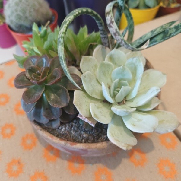 Miniatura de producto - 2