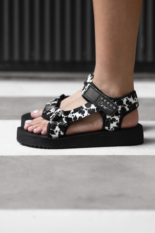 Producto - TANGER ANGUS