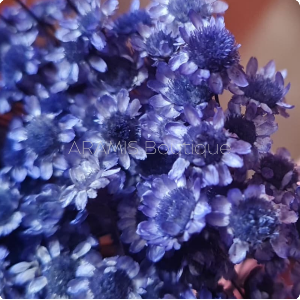 Producto - Diamantina violeta