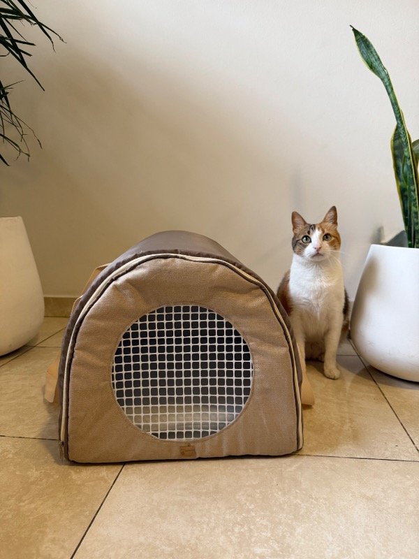 Producto - Transportadora grande Beige