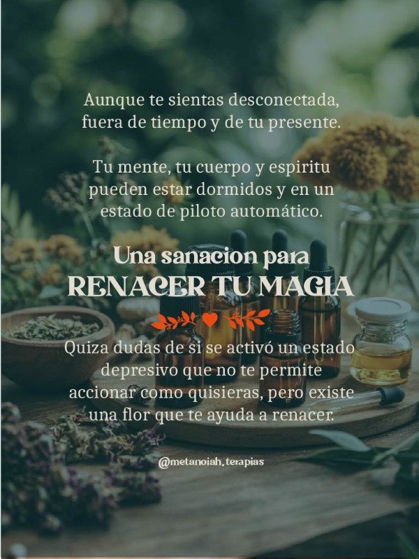 Producto - Terapia Floral con Flores de Bach - Sesión 1 a 1 - 2