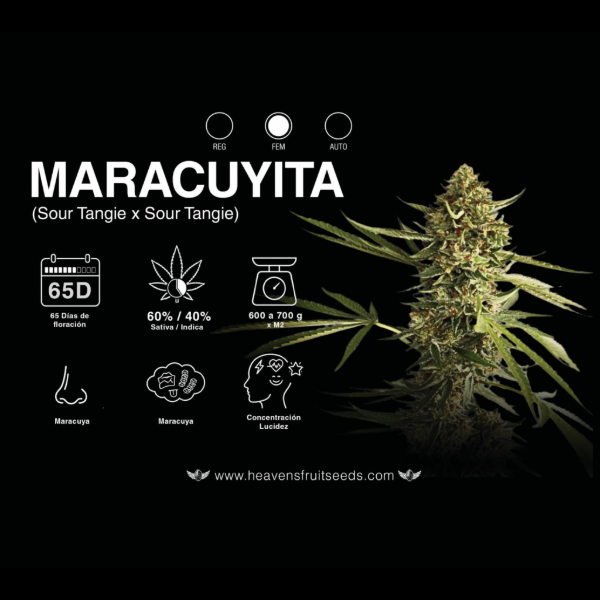Producto - HEAVENS FRUIT MARACUYITA