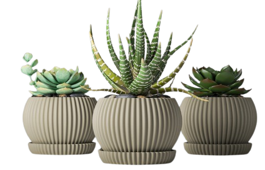 Producto - Maceta para suculentas