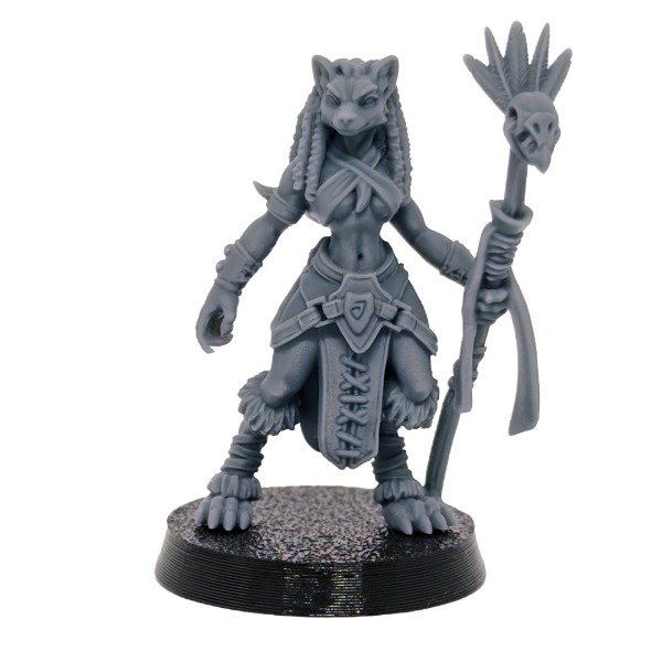 Producto - #235 D - Tazrah, Gnoll Druida