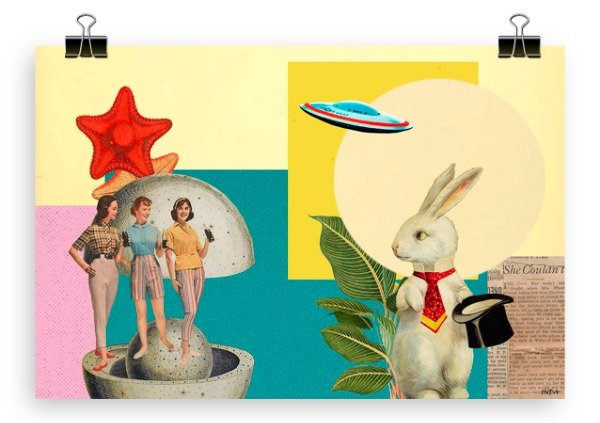 Producto - El conejo de la Galera