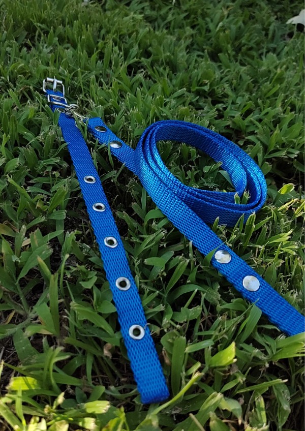 Producto - Collar liso