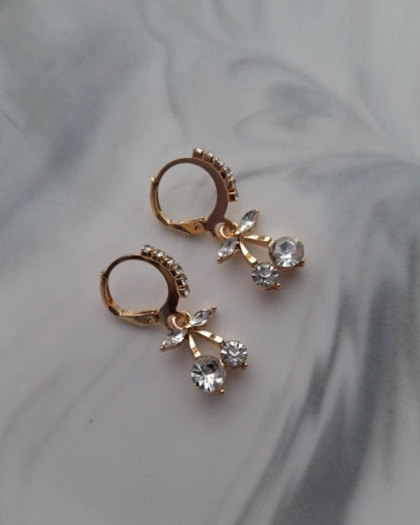 Producto - Aros Moni
