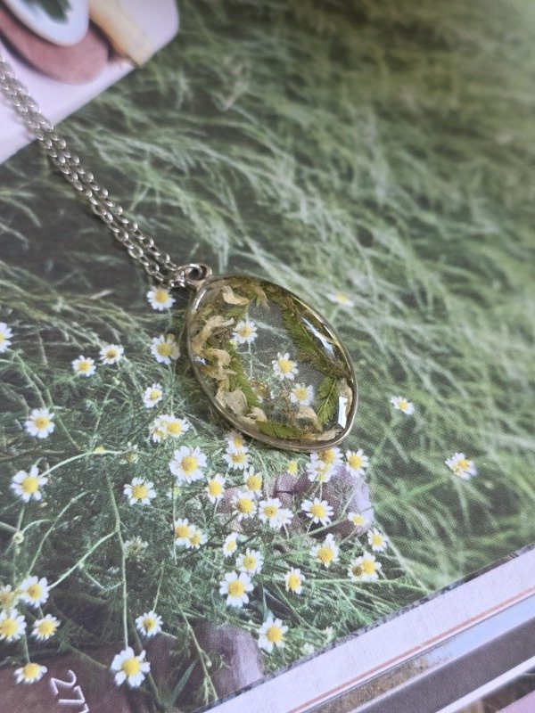 Producto - jardín silvestre