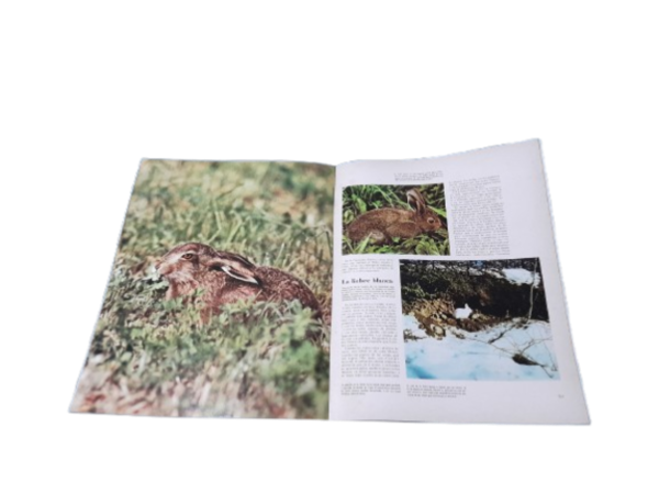 Miniatura de producto - 5