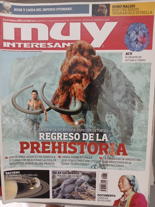 Producto - REVISTA MUY INTERESANTE N 360