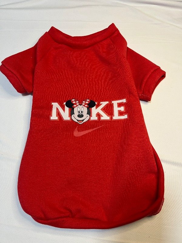 Producto - Buzo Minnie sin capucha
