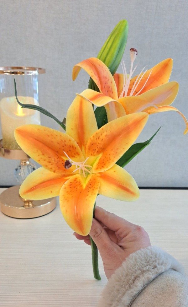Producto - VARA DE LILIUM X2 CORTA