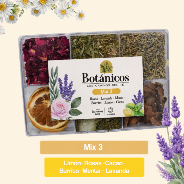 Producto - Mix 3 Caja Botánicos LOS CAMINOS DEL TÉ