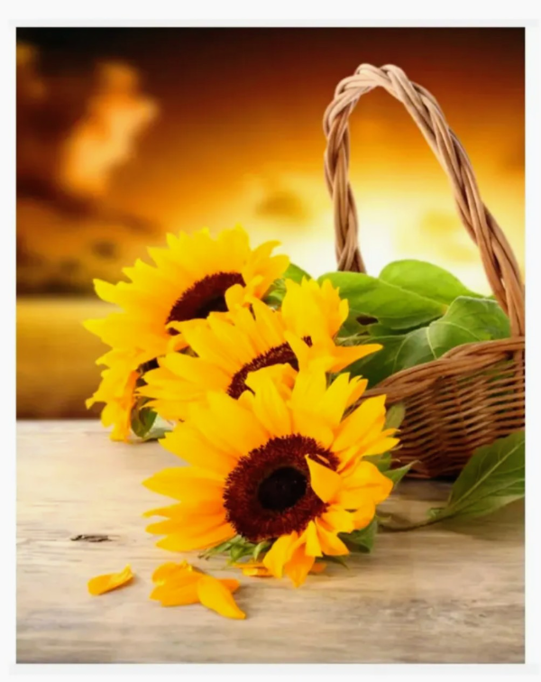 Producto - Kit de pintura por diamante canasta de girasoles 50x40cm