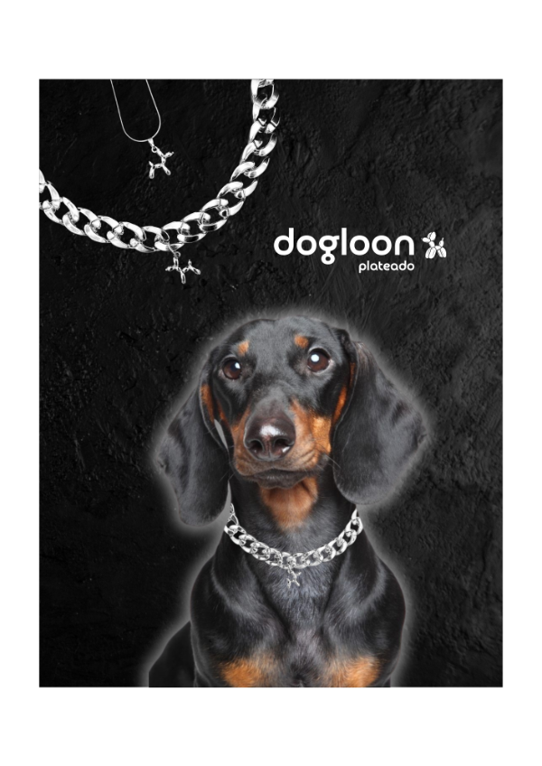 Producto - Dogloon Plateado - Para vos y tu perro