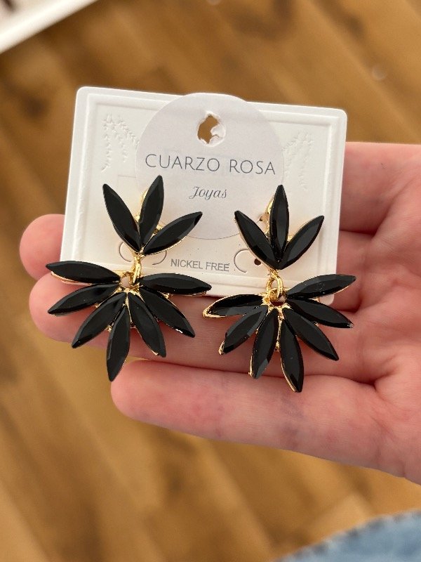 Producto - Aros Cuervo