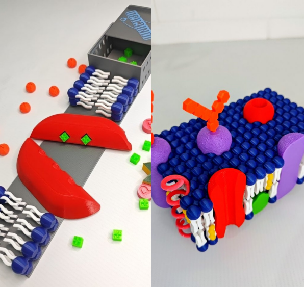 Producto - COMBO MEMBRANA + BOMBA NA K