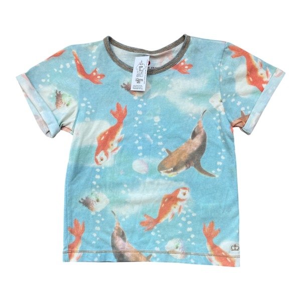 Producto - REMERA PAULA CAHEN D ANVERS TALLE 6