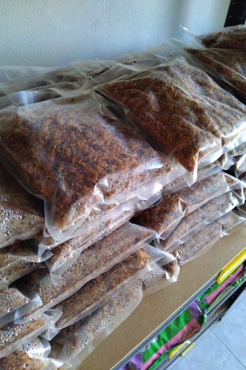 Producto - Musgo sphagnum en hebras hidratado x litro cubico. - 1