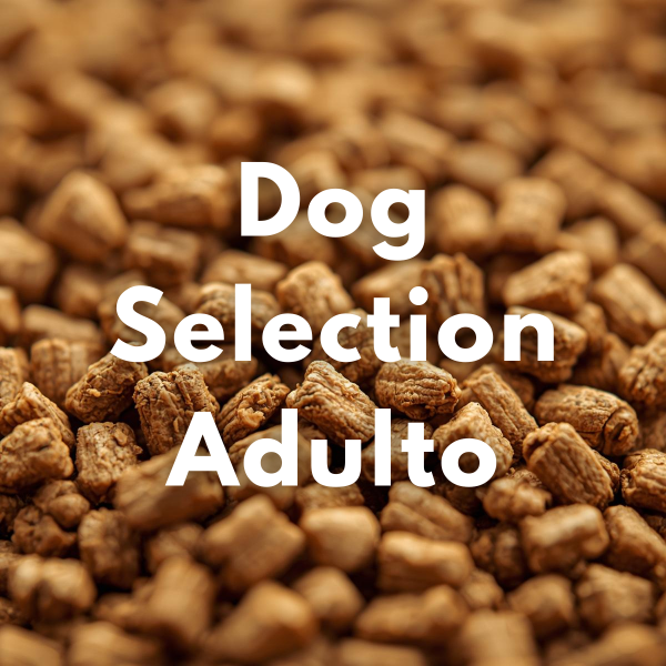 Producto - Dog Selection Adulto (Granel)