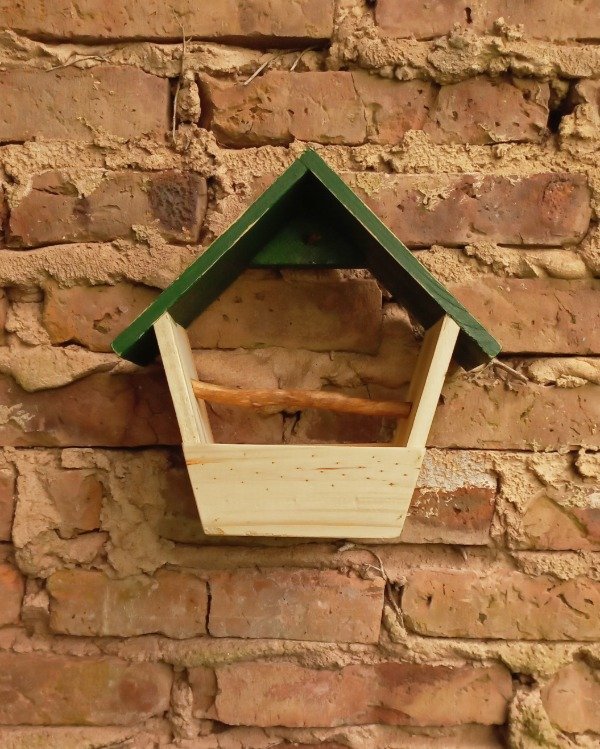 Producto - Comedero de pared para frutas y/o semillas para PARED (verde pino)